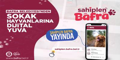 Bafra’da sokak hayvanları için dijital sahiplendirme dönemi
