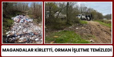Magandalar Kirletti, Orman İşletme Temizledi