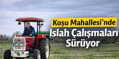 Bafra Koşu Mahallesi meralarında ıslah çalışmaları sürüyor