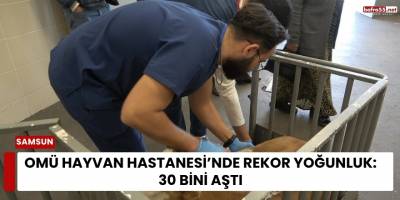 OMÜ Hayvan Hastanesi’nde Rekor Yoğunluk: 30 Bini Aştı