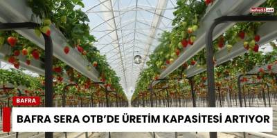 Bafra Sera OTB’de Üretim Kapasitesi Artıyor