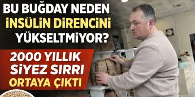 Bu Buğday Neden İnsülin Direncini Yükseltmiyor 2000 Yıllık Siyez Sırrı
