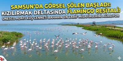 Bafra’da Görsel Şölen Başladı: Kızılırmak Deltası’nda Flamingo Resitali!