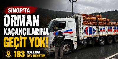Sinop'ta Orman Kaçakçılarına Geçit Yok! 183 Noktada Dev Denetim