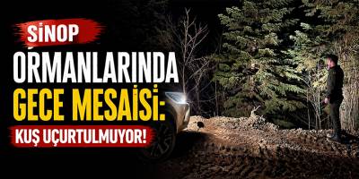 Orman Kaçakçılarına Gece Baskını! Ekipler O İlçelerde Teyakkuzda