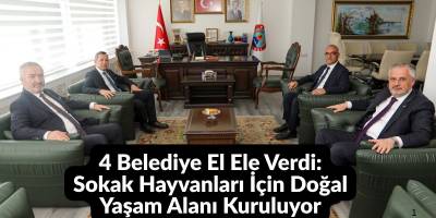 4 Belediye El Ele Verdi: Sokak Hayvanları İçin Doğal Yaşam Alanı Kuruluyor