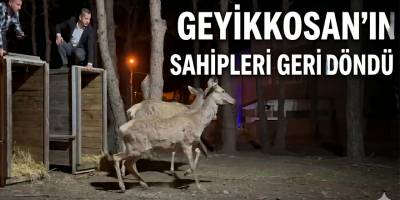 Geyikkoşan’ın Sahipleri Geri Döndü