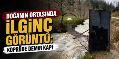 Doğanın Ortasında İlginç Görüntü: Köprüde Demir Kapı