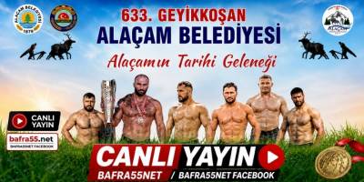 633. Geleneksel Geyikkoşan Güreşleri Başladı! Alaçam’dan Canlı Yayındayız
