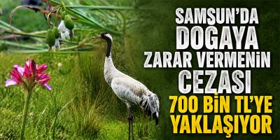 Samsun’da Doğaya Zarar Vermenin Cezası 700 Bin TL’ye Yaklaşıyor