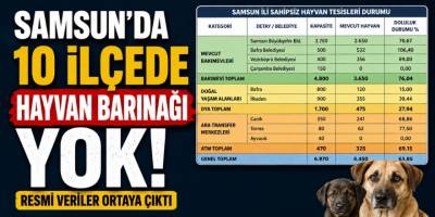 Samsun’daki 10 İlçede Hayvan Barınağı ve Tesis Bulunmuyor