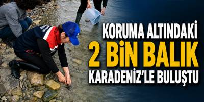 Koruma Altındaki 2 Bin Balık Karadeniz’le Buluştu