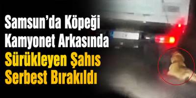 Samsun’da Köpeği Kamyonet Arkasında Sürükleyen Şahıs Serbest Bırakıldı