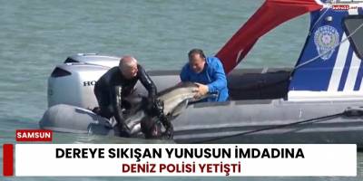 Dereye Sıkışan Yunusun İmdadına Deniz Polisi Yetişti