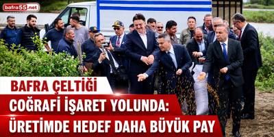Bafra Çeltiği Coğrafi İşaret Yolunda: Üretimde Hedef Daha Büyük Pay