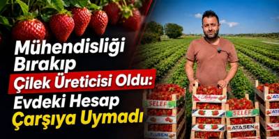 Mühendisliği Bırakıp Çilek Üreticisi Oldu: Evdeki Hesap Çarşıya Uymadı