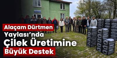 Alaçam Dürtmen Yaylası’nda Çilek Üretimine Büyük Destek