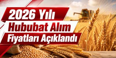 2026 Yılı Hububat Alım Fiyatları Açıklandı