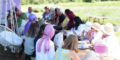 Mor Kokunun İzinde: Sinop’ta Lavanta Bahçesinde Bilim Buluşması