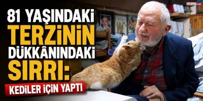 81 Yaşındaki Terzinin Dükkânındaki Sırrı: Kediler İçin Yaptı