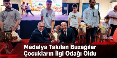 Sinop Fuarında Podyuma Buzağılar Çıktı, Çocuklar Hayran Kaldı