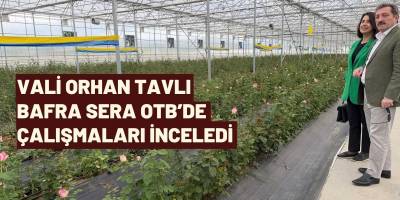 Vali Orhan Tavlı Bafra Sera OTB’de Çalışmaları İnceledi