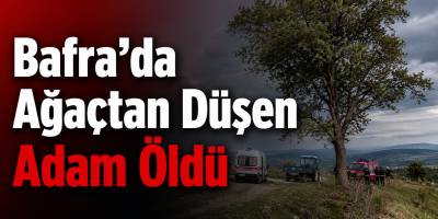 Bafra’da Ağaçtan Düşen Adam Öldü