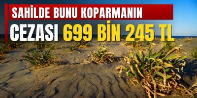 Sahilde Bunu Koparmanın Cezası 699 Bin 245 TL