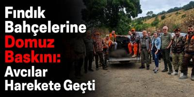 Bahçelere Zarar Veren Yaban Domuzları Avlandı