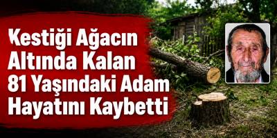 Kestiği Ağacın Altında Kalan 81 Yaşındaki Adam Hayatını Kaybetti