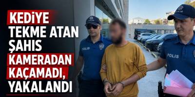 Kediye Tekme Atan Şahıs Kameradan Kaçamadı, Yakalandı