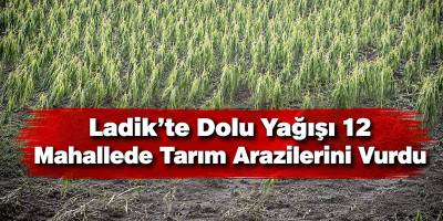 Ladik’te Dolu Yağışı 12 Mahallede Tarım Arazilerini Vurdu