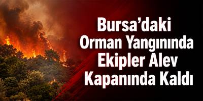 Bursa’daki Orman Yangınında Ekipler Alev Kapanında Kaldı
