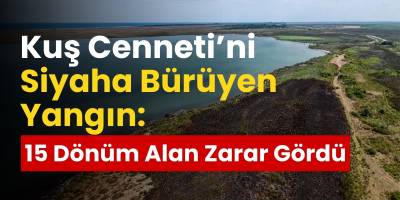 Kuş Cenneti’ni Siyaha Bürüyen Yangın: 15 Dönüm Alan Zarar Gördü