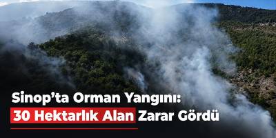 Sinop’ta Orman Yangını: 30 Hektarlık Alan Zarar Gördü