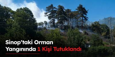 Sinop’taki Orman Yangınında 1 Kişi Tutuklandı