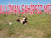 DEREKÖY LİMANI SAHİPSİZMİ?