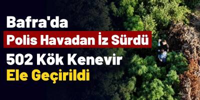 Bafra’da Polis Havadan İz Sürdü: 502 Kök Kenevir Ele Geçirildi