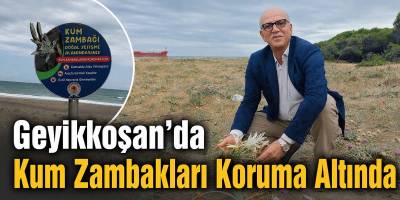 Geyikkoşan’da Kum Zambakları Koruma Altında