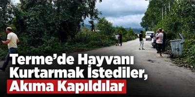 Terme’de Hayvanı Kurtarmak İstediler, Akıma Kapıldılar