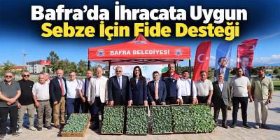 Bafra’da İhracata Uygun Sebze İçin Fide Desteği