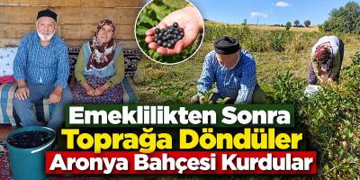 Emeklilikten Sonra Toprağa Döndüler Aronya Bahçesi Kurdular