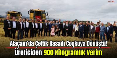 Alaçam’da Çeltik Hasadı Coşkuya Dönüştü! Üreticiden 900 Kilogramlık Verim