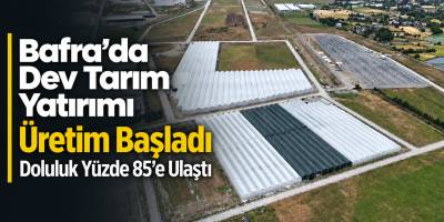 Bafra’da Dev Tarım Yatırımı Üretim Başladı Doluluk Yüzde 85’e Ulaştı