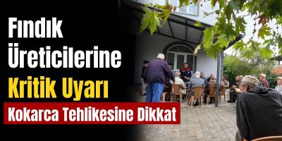 Fındık Üreticilerine Kritik Uyarı: Kokarca Tehlikesine Dikkat