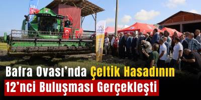 Bafra Ovası’nda Çeltik Hasadının 12’nci Buluşması Gerçekleşti
