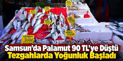 Samsun’da Palamut 90 TL’ye Düştü Tezgahlarda Yoğunluk Başladı