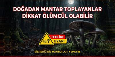Doğadan Mantar Toplayanlar Dikkat Ölümcül Olabilir