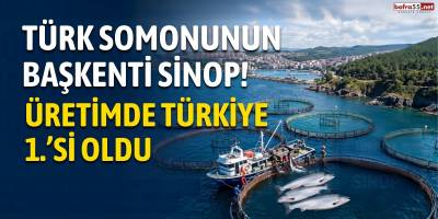 Türk Somonunun Başkenti Sinop! Üretimde Türkiye 1.’si Oldu