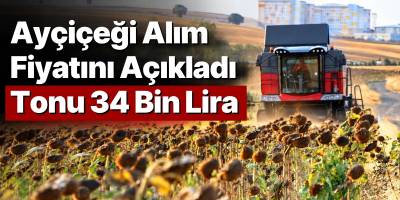 Ayçiçeği Alım Fiyatını Açıkladı Tonu 34 Bin Lira